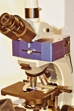 Ba400 Motic Research Led Fluorescence Photomicroscope With Bf Ph Df Kits Plan Fluor #2