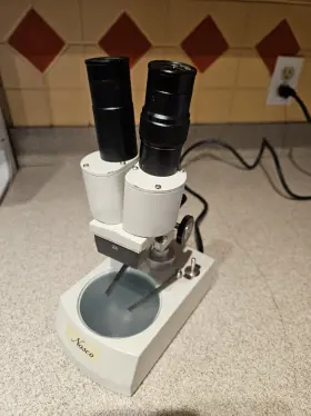 99982...above Nasco 246140 Microscope -2-eye/hg And Below Light-works Perfect