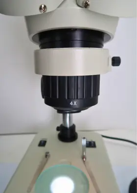 431tbl National Stereoscopic Microscope Model - 20x 40x Dual Magnification #2