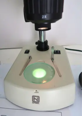 431tbl National Stereoscopic Microscope Model - 20x 40x Dual Magnification #3