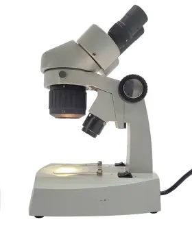 411tbl National Optical Flinn Stereoscopic Microscope