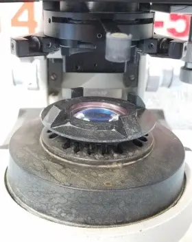 293629 Nikon Bausch And Lomb Balplan Microscope #2