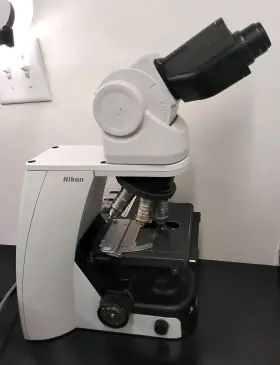500471 Nikon Microscope Eclipse Ci-l With 10x 40x 50x 100x And Tilting Telescope Head