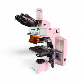 E600 Nikon 801234586342 Eclipse Upright Fluorescence Microscope No Objectives