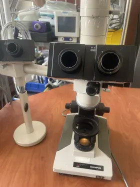 2467 Olympus Microscope