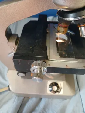 254325 Olympus Vintage Microscope #3