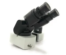 U-tvo.5xc Olympus 2l27024/3b11786/2c03140/wh10x U-tbi-cli Microscope With Wh10x/22 Eyepieces And U-tru Camera Port