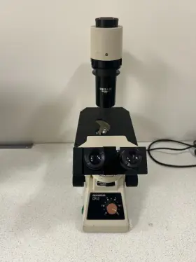 706065 Olympus Ck 2 Microscope