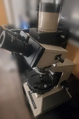 Bhs-312 Olympus Bh2 Microscope
