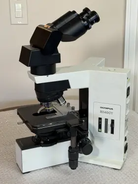 Bx40cyf2 Olympus Microscope With Tilting Head