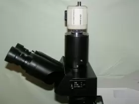 U-sc-2 Olympus Bx40f4 Microscope With 5 Objectives U-tr30 Head Condenser #3