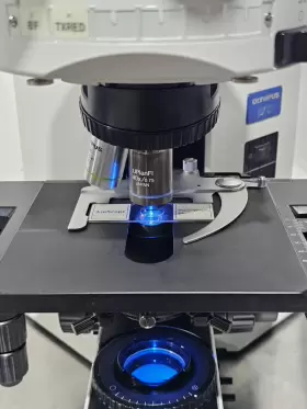 Bx51tf Olympus Bx51 Fluorescence Microscope #2