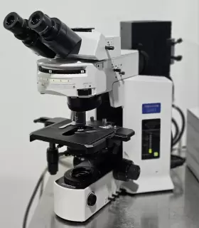 Bx51tf Olympus Bx51 Fluorescence Microscope #3