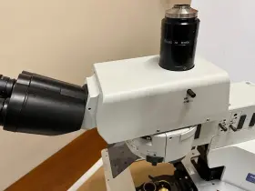 Bx51wi Olympus Microscope #2