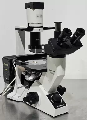 Ck40-f100 Olympus Inverted Phase Contrast Fluorescence Trinocular Microscope