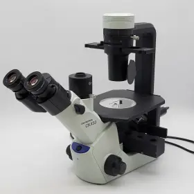 Ckx53 Olympus Microscope With Phase Contrast And Coolled Fluorescence #2