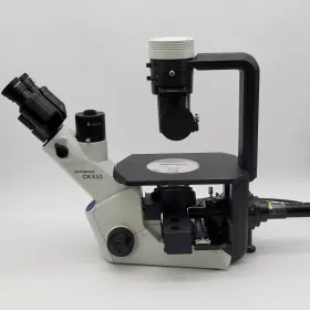 Ckx53 Olympus Microscope With Phase Contrast And Coolled Fluorescence #3