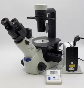 Ckx53 Olympus Microscope With Phase Contrast And Coolled Fluorescence