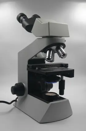 Cx21fs1 Olympus Cx21 Fs1 Microscope With Binocular Head And 4x 10x 40x 100x Objectives