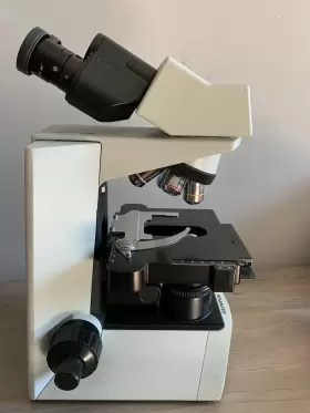 Cx31rbsf Olympus Microscope #2