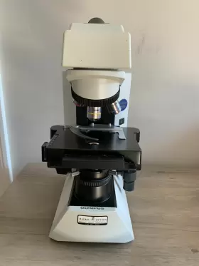 Cx31rbsf Olympus Microscope