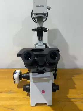 Ix51 Olympus Microscope Flourescence #2