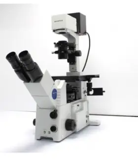 Ix71 Olympus Microscope