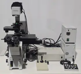 Ix81f-2 Olympus Ix81 Fluorescence Phase Contrast Inverted Microscope