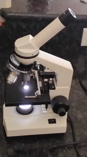 Ms-01u Premiere Microscope Wf10x Tested Works