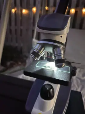 200dl Swift Compound Microscope Sw #2