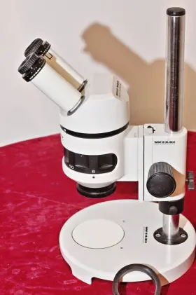 228711 Wild Heerbrugg Swiss-made M5a Stereo Microscope - Benchmark Optics And Mechanics #3