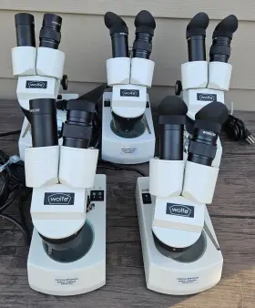 59-1823 Wolfe Lot Of 5 Carolina Binocular Microscope Read Description R2