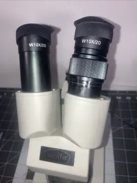 59-0950 Wolfe Carolina Biological Microscope #3