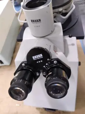 0193858 Zeiss Binocular Microscope #2