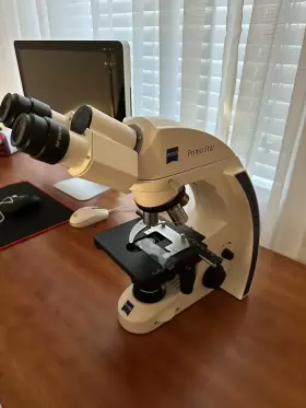 415500-0010-001 Zeiss Primo Star Binocular Microscope #2
