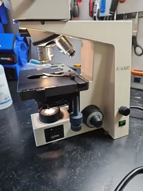 450905 Zeiss Axiolab Drb Kt Microscope #3