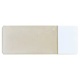 20f862 Zoro Select Microscope Slide White Ground Pk72 Formerly Lab Safety