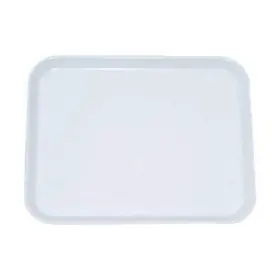 3034031537 Zoro Select Lab Tray Chem Res 3/4x10x14
