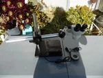 Sciencescope Lighted Strereo Zoom Binocular Microscope Sb-ab-sz. Fixed Price $595.00.