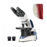 Swift SW380B 40X-2500X Magnification, Siedentopf Head, Research-grade Binocul.... Fixed Price $306.11.