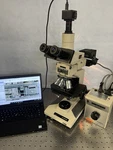 Olympus BH2 Bhtm Uma Bf/df Metallurgical Semi Microscope Cam + Guarantee. Fixed Price $3750.00.