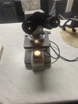 Boreal Binocular Microscope. Fixed Price $180.00.