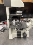 Motic AE31 Inverted Phase Contrast Tissue Culture Microscope. Fixed Price $800.00.