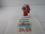 Evotech Human Half Head Superficial Neurovascular Musculature Model- Openbox. Fixed Price $73.02.