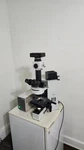 Olympus BX60F3 Microscope 10X Ocular 30X Objective Lense. Fixed Price $2500.00.