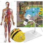 Tts Bee-bot Coding Toy Robot Bundle With 2 Playmats & Digital Usb Microscope. Fixed Price $266.87.