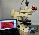 Zeiss Axioplan 2 Mot Led Upgraded Fluorescence Microscope Cam+ Guarantee. Fixed Price $7950.00.