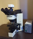 Olympus BX60F-3 Fluorescent Microscope W/ Uplan Objectives, Eyepieces, Df+lf. Fixed Price $5900.00.