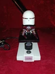 Wolfe Led Educational Microscope *used, Works, Sold As Is*. Fixed Price $39.99.