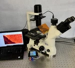 Nikon TS-100 Eclipse Upgraded Led Inverted Fluorescence Ph Microscope. Fixed Price $6750.00.